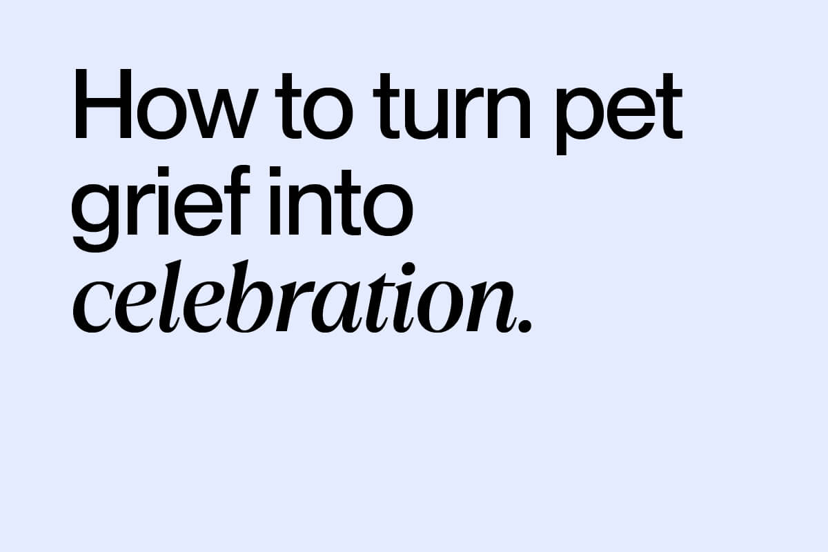 How to turn pet grief into celebration. Buddy support resources for pet loss.