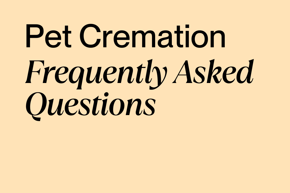 Buddy Pet Cremation - Frequently Asked Questions blog