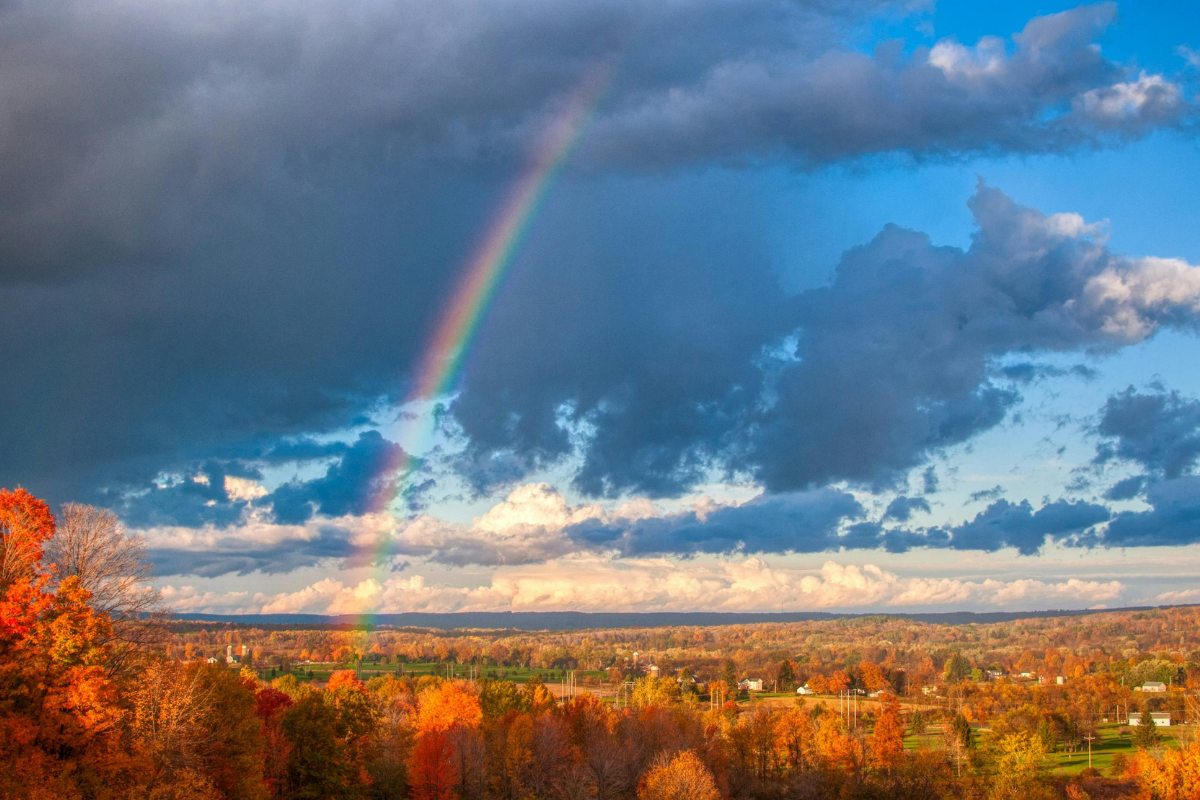 Rainbow Bridge and pet loss - rainbow over field