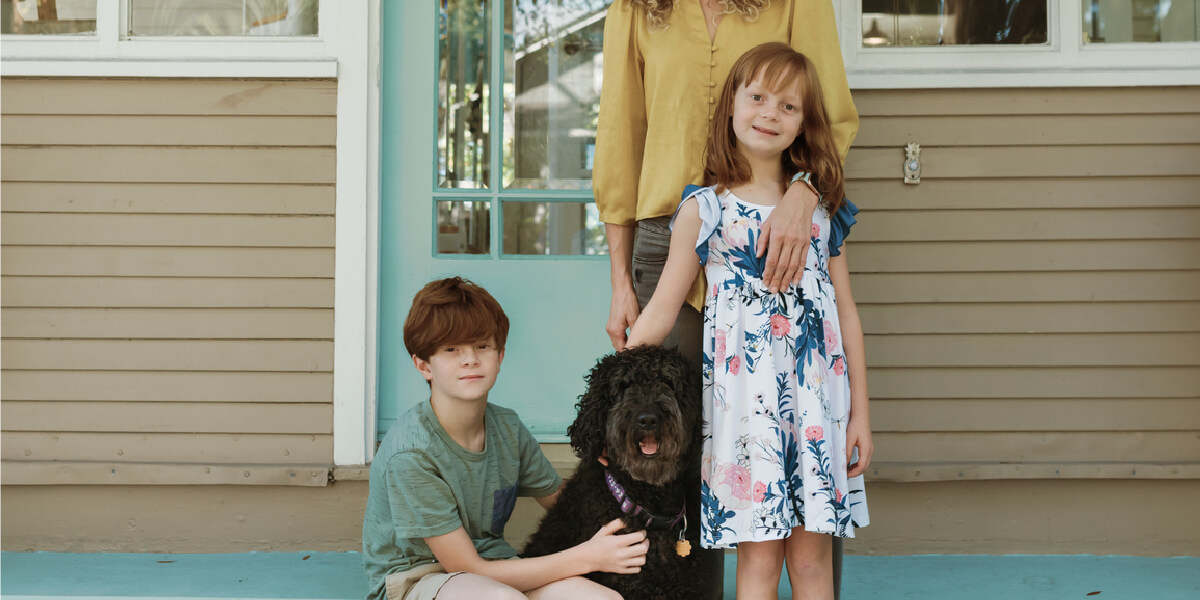 Honouring pets during the festive season . Buddy support resources for pet grief and pet loss.