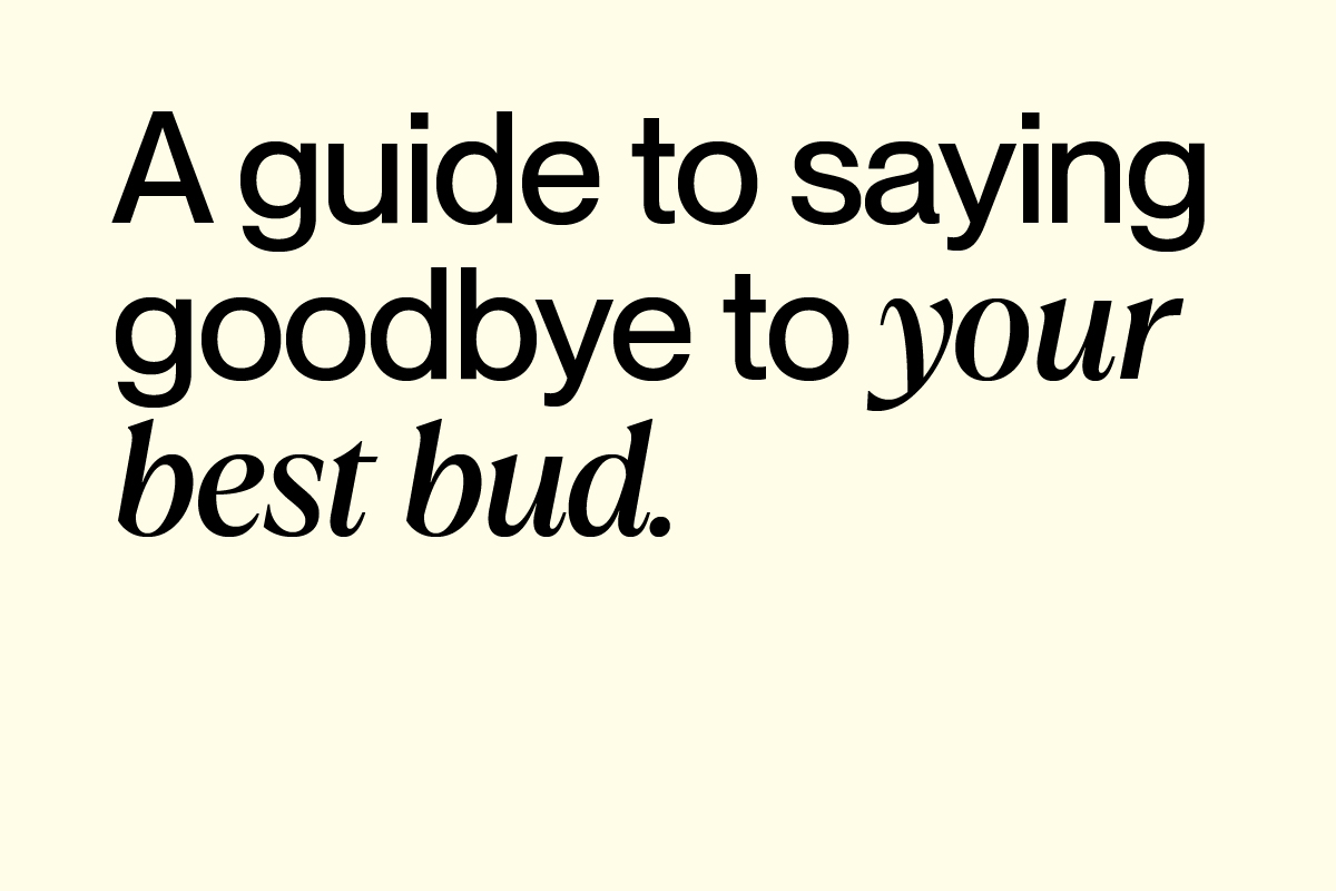A guide to saying goodbye to your pet. Buddy support resources for pet grief and pet loss.