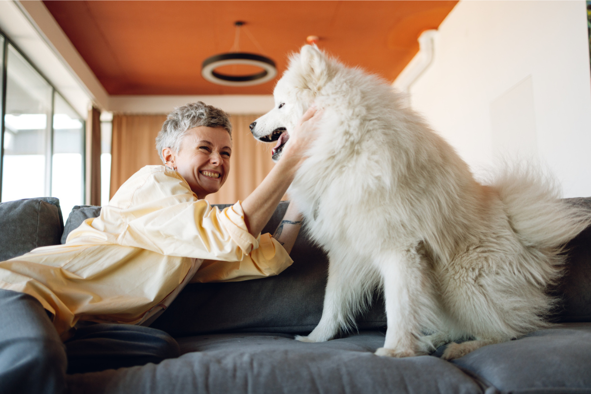 Buddy Best Package - woman and Samoyed